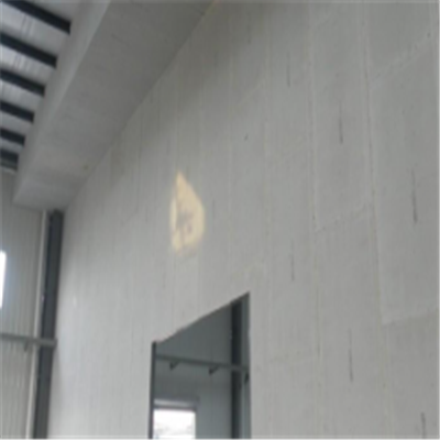 锡山宁波ALC板|EPS加气板隔墙与混凝土整浇联接的实验研讨